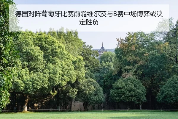 德国对阵葡萄牙比赛前瞻维尔茨与B费中场博弈或决定胜负