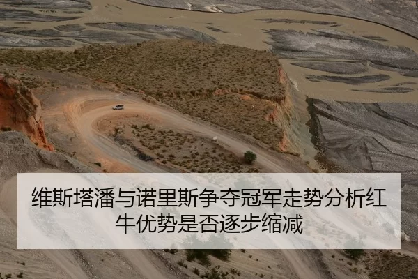 维斯塔潘与诺里斯争夺冠军走势分析红牛优势是否逐步缩减