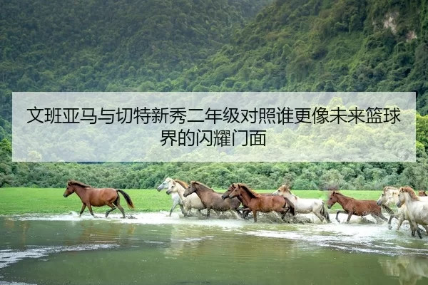 文班亚马与切特新秀二年级对照谁更像未来篮球界的闪耀门面