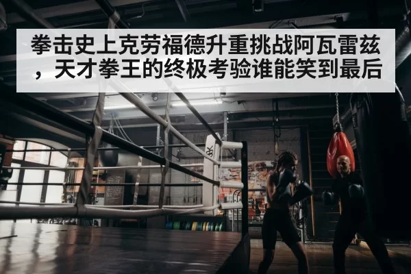 boxer training