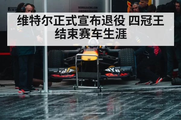 Formula 1 Sebastian Vettel Red Bull victory