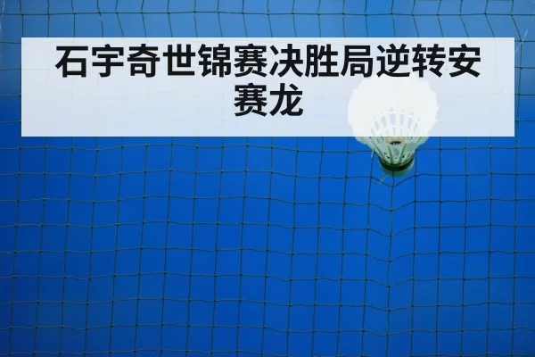 badminton net play